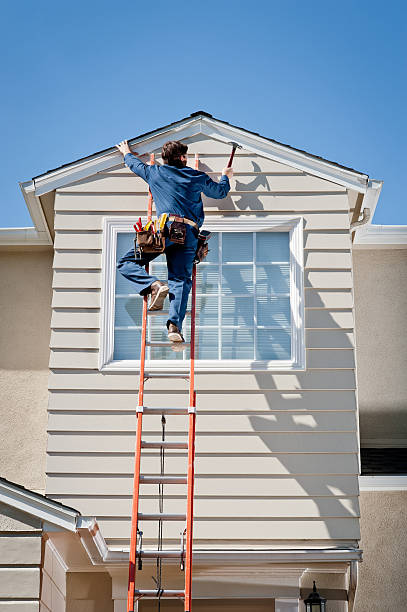 Best Historical Building Siding Restoration  in Falcon Heights, MN